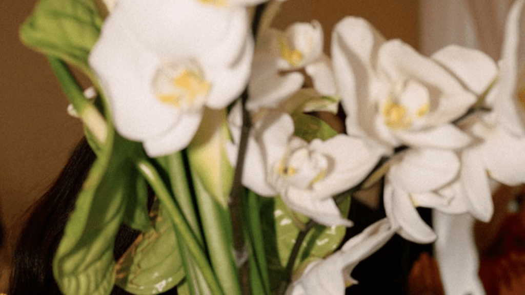 Before You Tour: 5 Things to Prepare Before Seeing a&nbsp;Venue